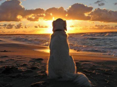 云掌黄金珠宝讲述人生最后悔的25件事-下