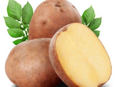 冬天怎么健康减肥 冬天健康减肥的方法