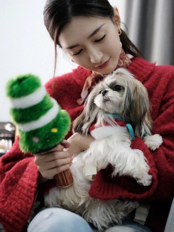 江疏影怀抱宠物出镜,红色毛衣配牛仔裤保暖又减龄