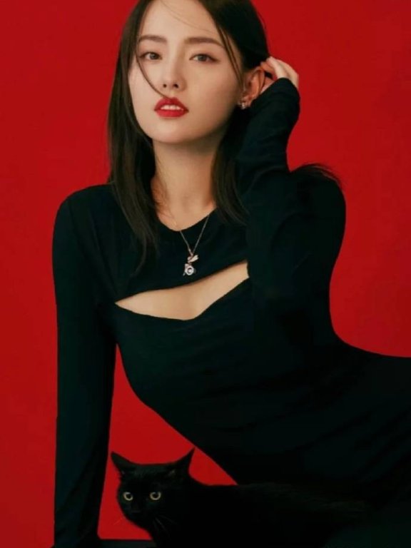 张嘉倪和黑猫同框妖娆妩媚,尽显迷人气质