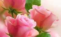 推荐女生看的女主重生后悔珍惜男主宠文 这一世换我来宠你