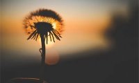 聪明的女人要懂这点,让您的婚姻更幸福