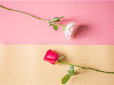 打扑克是什么网络用语是什么意思