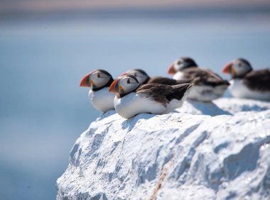 男性多少公分才算正常,你的丁丁尺寸达标了吗？