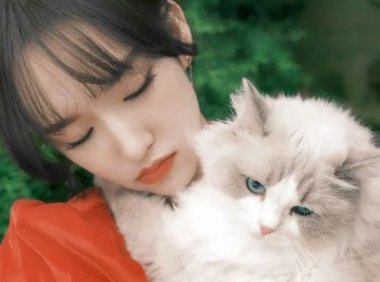 昨晚儿子要我三次离开  只因我破坏他的婚姻