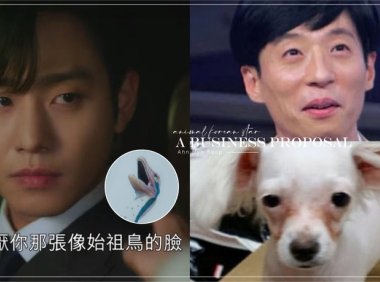 长得像动物的韩星盘点