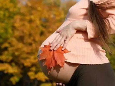 胎停是不是说明女方身体不好，和男性有关系吗？