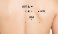 三伏贴贴敷部位图 这7个位置最佳(图解)