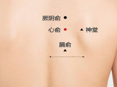 三伏贴贴敷部位图 这7个位置最佳(图解)