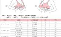 胸罩abcd对照标准尺码表(2023最新版)