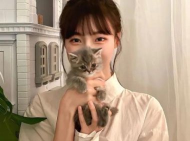 太子妃和皇上在小树上打架 这真是有伤风化