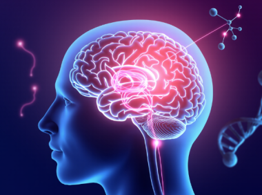 为什么人类会有情感?探索人类情感的奥秘