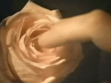 如何判断是否自慰过度了？多久自慰一次才算适度